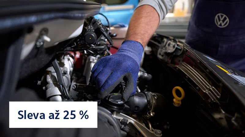 Servis užitkových vozů Volkswagen