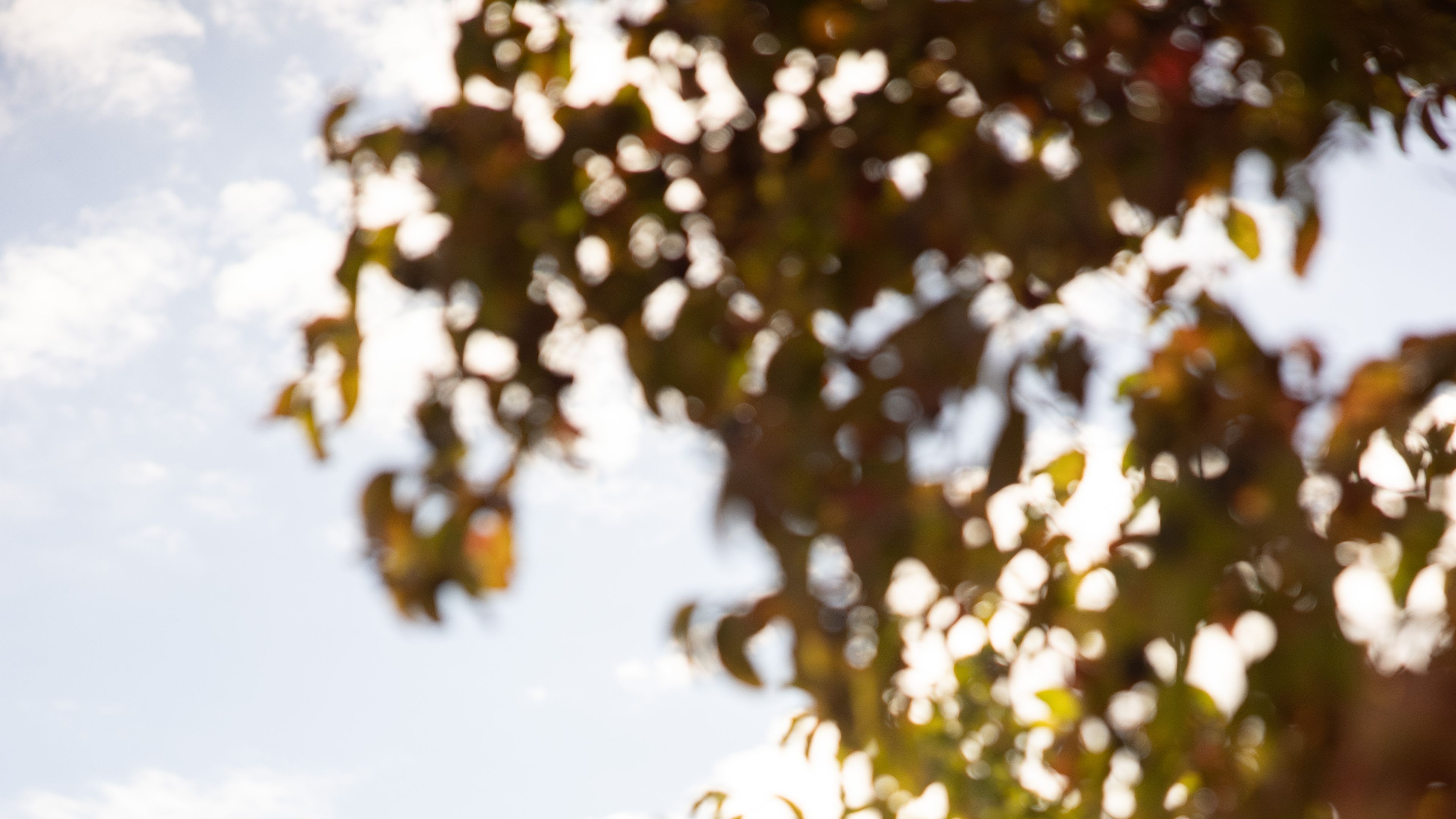 Volkswagen Amarok zepředu